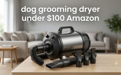 Dog Grooming Dryer Under $100 Amazon Buyers Now Recommend