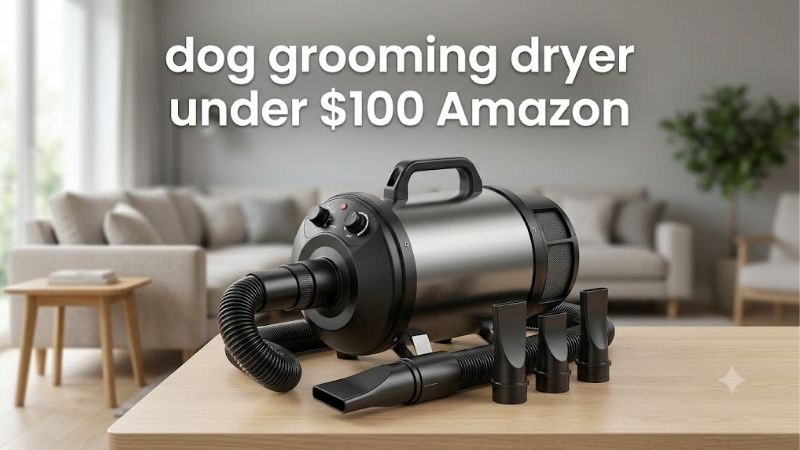 How to Choose a Dog Grooming Dryer Under $100 Amazon Offers