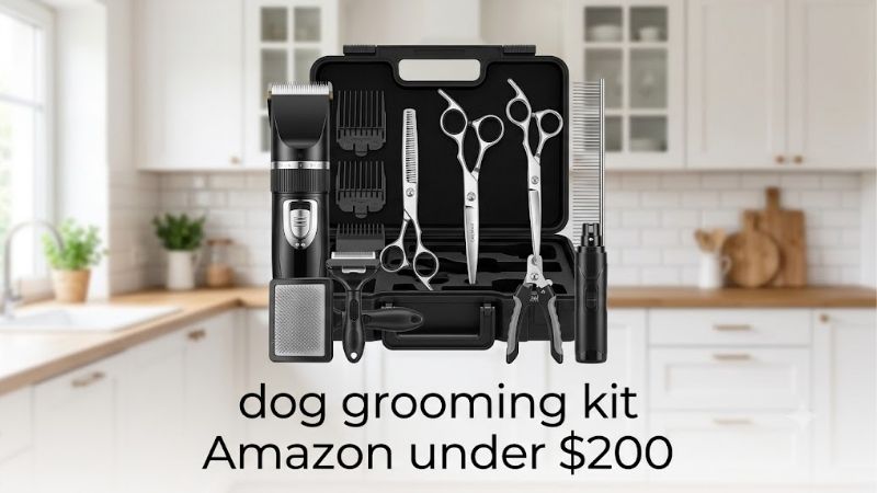 How to Choose a Dog Grooming Kit Amazon Under $200 Sells