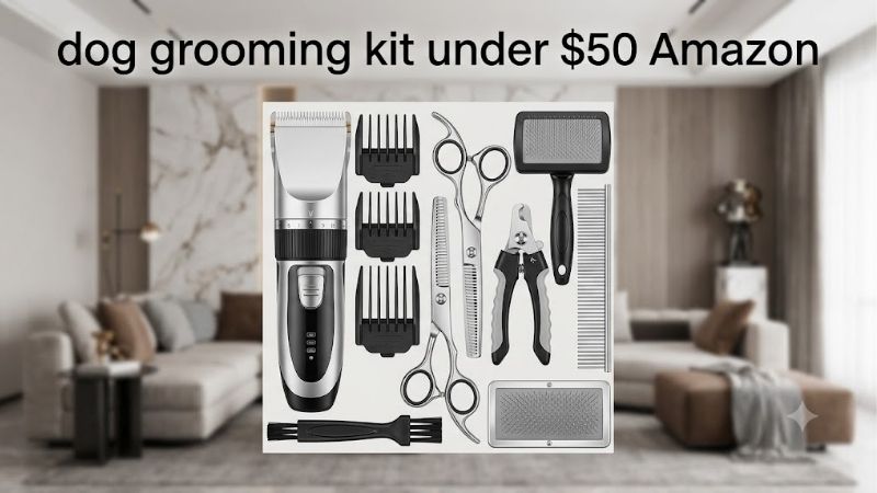 How to Choose a Dog Grooming Kit Under $50 Amazon Offers