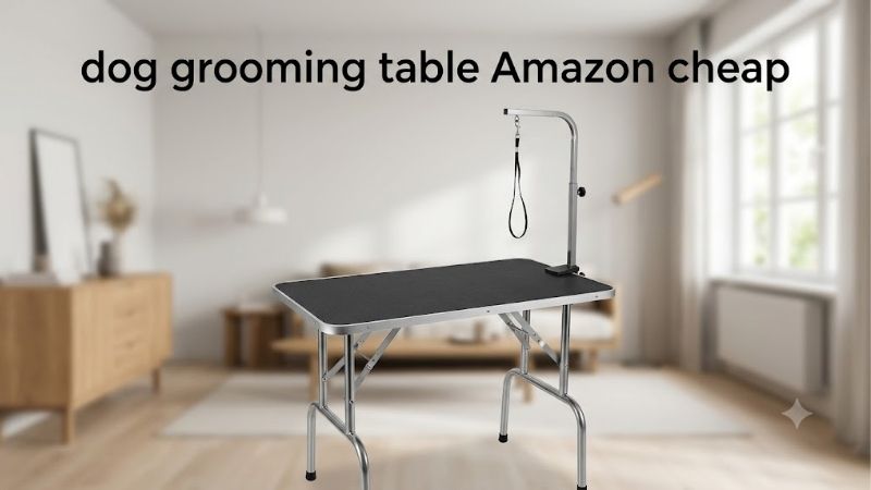 How to Choose a Dog Grooming Table Amazon Cheap Buyers Rate