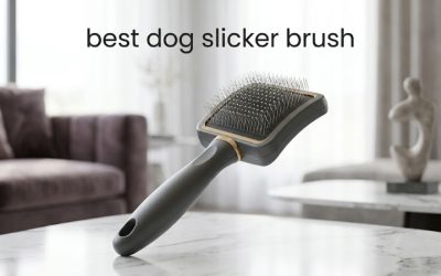 Best Dog Slicker Brush: Top Picks for Every Dog Coat Type