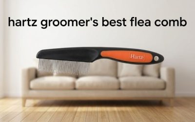 Hartz Groomer’s Best Flea Comb: Review and 5 Alternatives