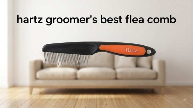How to Choose a Flea Comb Like Hartz Groomer's Best Flea Comb