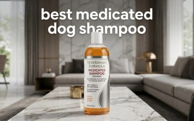 Best Medicated Dog Shampoo: Vet-Backed Picks for Skin Issues