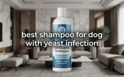 Best Shampoo for Dog with Yeast Infection: Top Antifungals