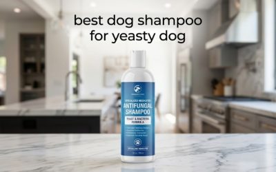 Best Dog Shampoo for Yeasty Dog: Beat Odor & Greasy Coat