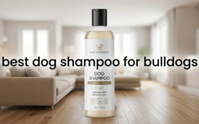 Best Dog Shampoo for Bulldogs: Gentle Care for Folds & Skin