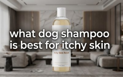 What Dog Shampoo Is Best for Itchy Skin? Top Picks Guide