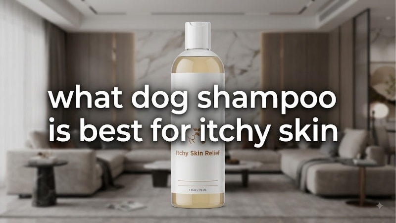 How to Choose a Shampoo for Itchy Skin