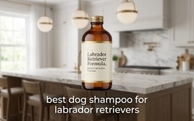 Best Dog Shampoo for Labrador Retrievers: Shed & Odor Fix