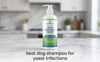 Best Dog Shampoo for Yeast Infections: Antifungal Picks