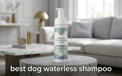 Best Dog Waterless Shampoo: Top No-Rinse Picks Reviewed