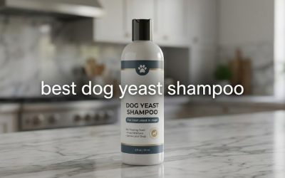Best Dog Yeast Shampoo: Top Antifungal Picks to Stop Odor