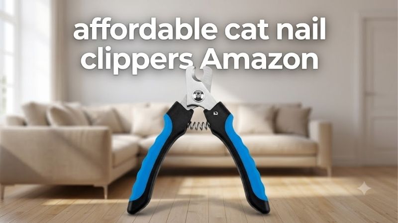 How to Choose Affordable Cat Nail Clippers Amazon Sells
