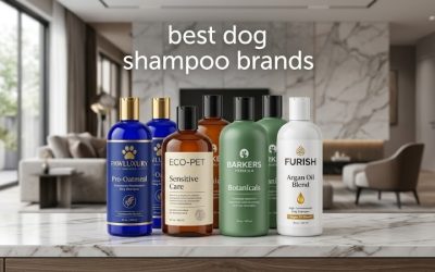 Best Dog Shampoo Brands: Top Names for Every Dog & Coat