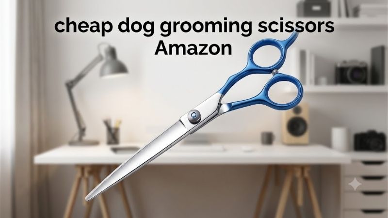 How to Choose Cheap Dog Grooming Scissors Amazon Sells