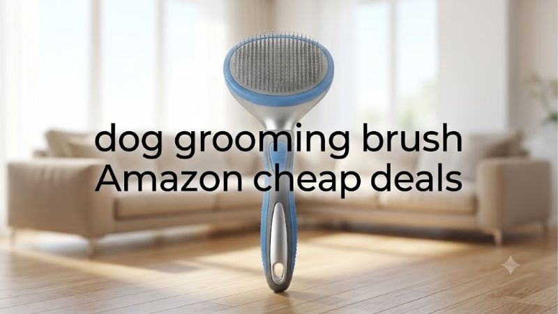 How to Choose Dog Grooming Brush Amazon Cheap Deals