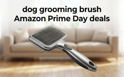 Dog Grooming Brush Amazon Prime Day Deals Worth Grabbing