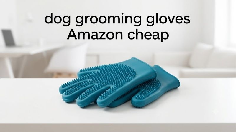 How to Choose Dog Grooming Gloves Amazon Cheap Buyers Rate