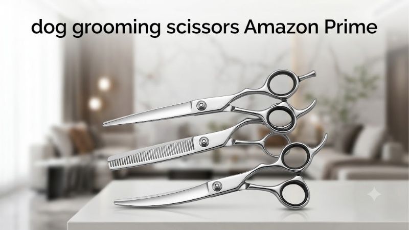 How to Choose Dog Grooming Scissors Amazon Prime Deals
