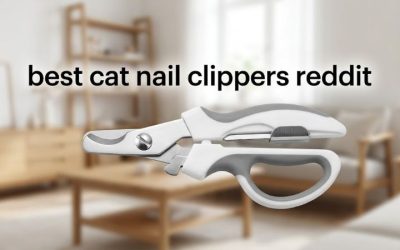 Best Cat Nail Clippers Reddit: 6 Owner-Favorite Picks Tested