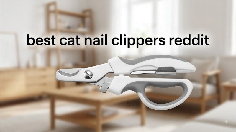 How to Choose from the Best Cat Nail Clippers Reddit Recommends