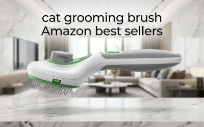 Cat Grooming Brush Amazon Best Sellers: Top 6 Picks 2026