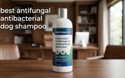 Best Antifungal Antibacterial Dog Shampoo: 6 Top Vet Picks