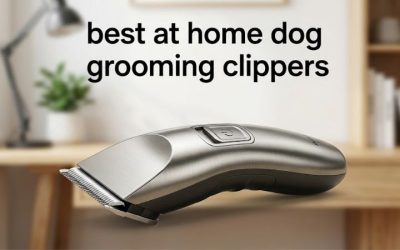 Best at Home Dog Grooming Clippers: 6 Complete Home Setups