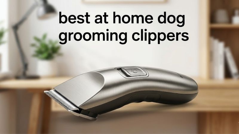How to Choose the Best at Home Dog Grooming Clippers and Setup