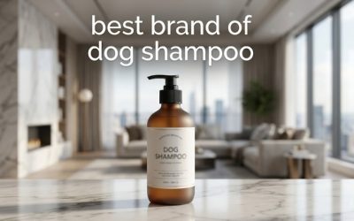Best Brand of Dog Shampoo: Top Names for Every Dog Need
