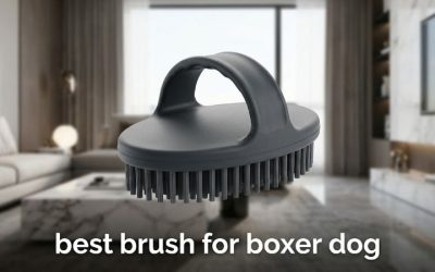Best Brush for Boxer Dog Coats: Six Skin-Safe Top Picks