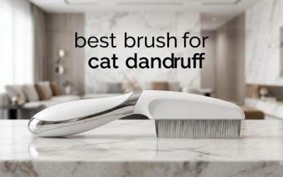 Best Brush for Cat Dandruff: 6 Gentle Picks for Flaky Skin