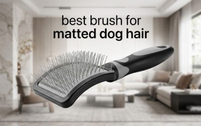 Best Brush for Matted Dog Hair: 6 Tested Detangling Picks