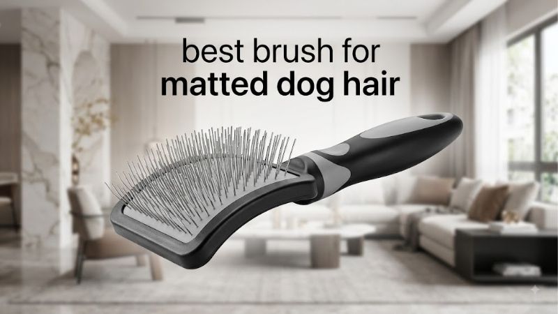 How to Choose the Best Brush for Matted Dog Hair