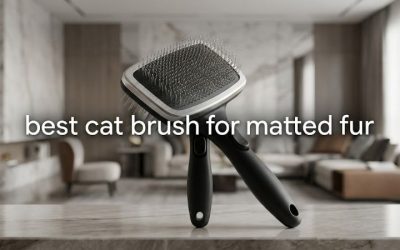 Best Cat Brush for Matted Fur: 6 Safe Dematting Picks Rated