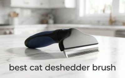 Best Cat Deshedder Brush: 6 Picks to Cut Loose Hair Fast
