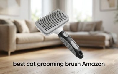 Best Cat Grooming Brush Amazon: Top 6 Picks for Shedding