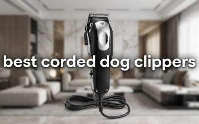 Best Corded Dog Clippers: Top Powerful Picks for All Coats
