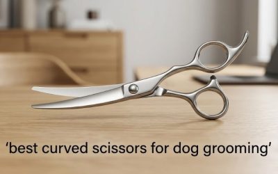Best Curved Scissors for Dog Grooming: 6 Picks for Shaping
