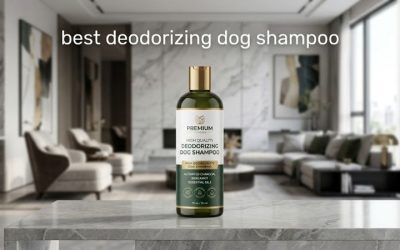 Best Deodorizing Dog Shampoo: 6 Picks for Lasting Freshness