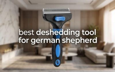 Best Deshedding Tool for German Shepherd: 6 Tested Picks