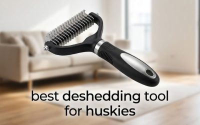 Best Deshedding Tool for Huskies: 6 Picks for Coat Blow