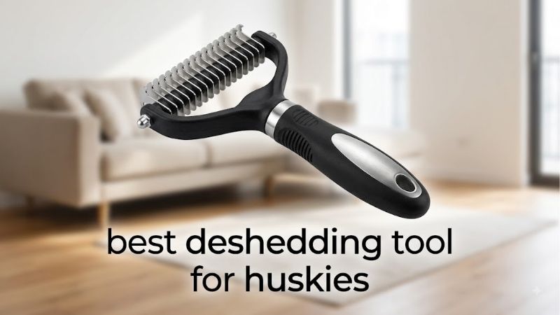How to Choose the Best Deshedding Tool for Huskies