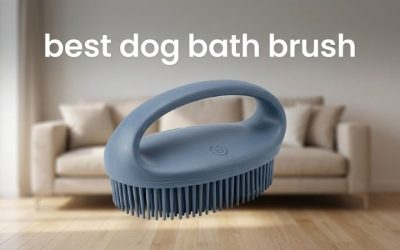 Best Dog Bath Brush: Top Picks for a Deep Clean Scrub-Down