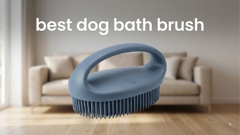 How to Choose the Best Dog Bath Brush