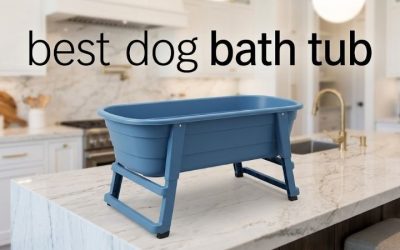 Best Dog Bath Tub: 6 Elevated Picks That Save Your Back