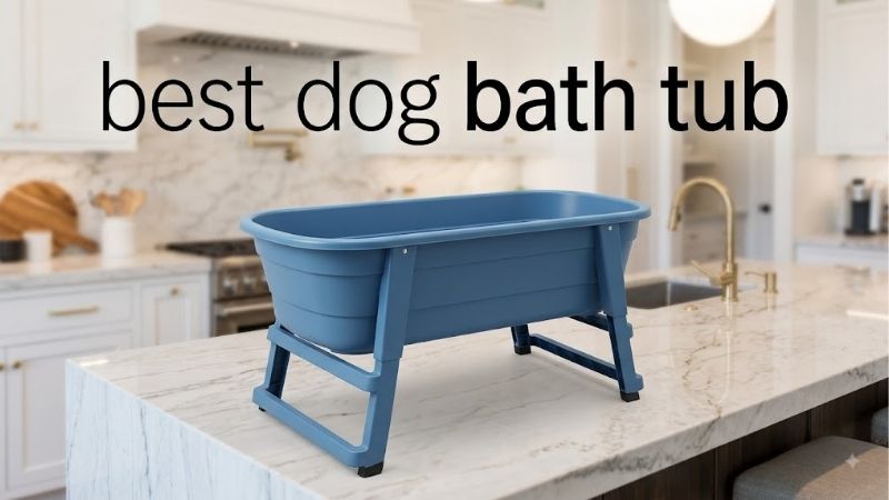 How to Choose the Best Dog Bath Tub