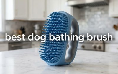 Best Dog Bathing Brush: Top Picks to Lather and Massage